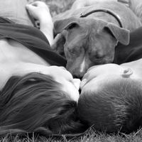 Dogs in Engagement Photos?