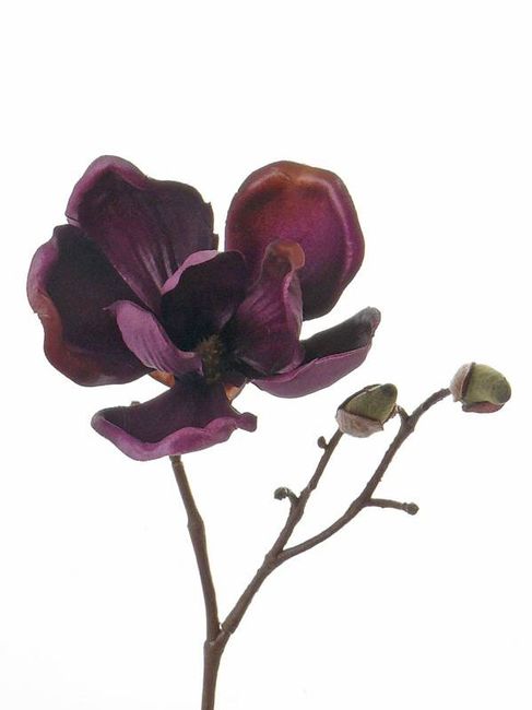 Color scheme help! 9