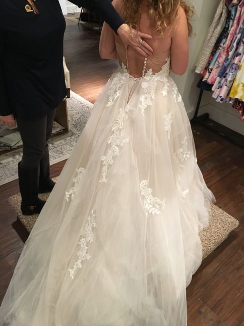 Which gown should I get!?