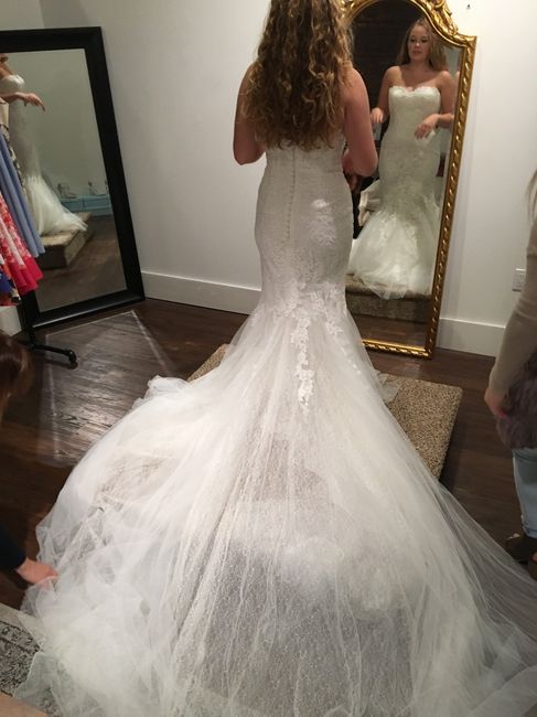 Which gown should I get!?