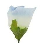 boutonnier Flowers