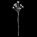 boutonnier Flowers
