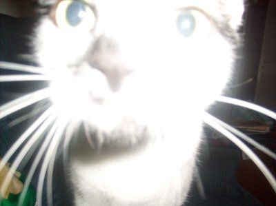 NWR: Show off your fur baby!