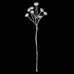 boutonnier Flowers