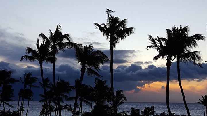 Honeymoon pic post! (SFW)