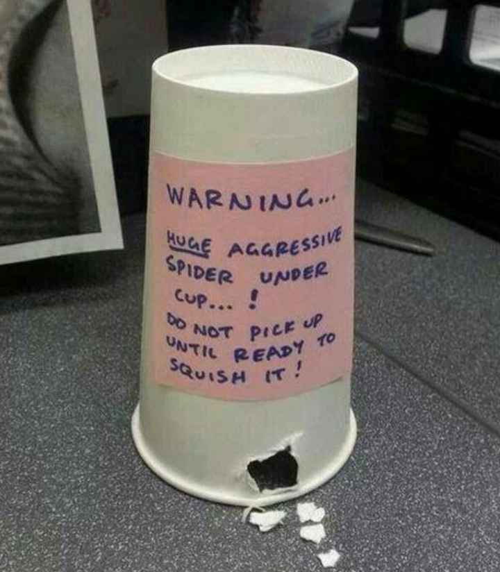 Show Me... Cheering Up!