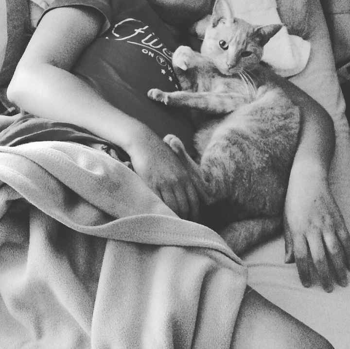 NWR: Update on my brain tumor!