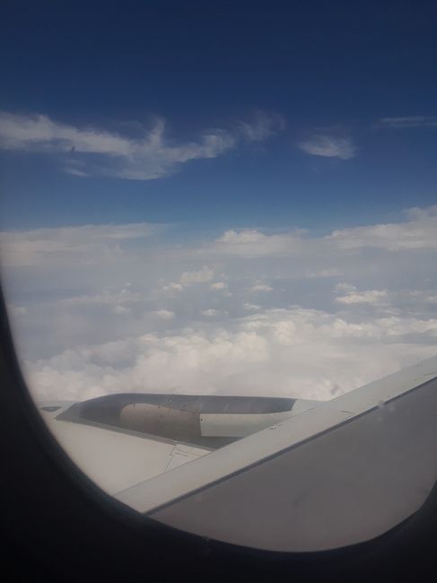 Honeymoon Time
