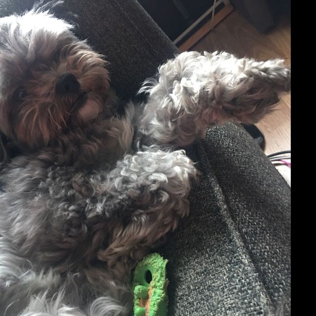 NWR: Show me your fur babies