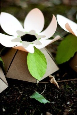 Floating Favors - Need floating plastic saucers!