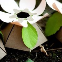Floating Favors - Need floating plastic saucers!