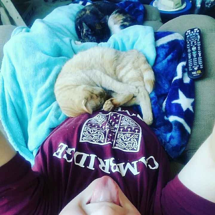NWR: Puppy Friday!!