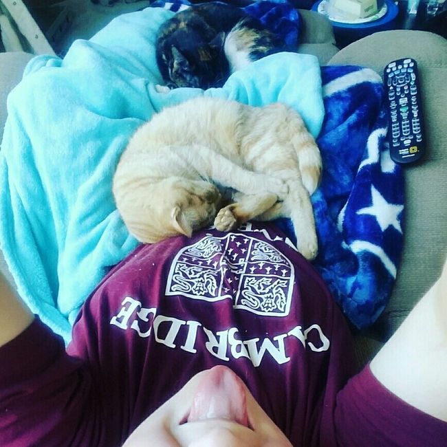 NWR: Puppy Friday!!