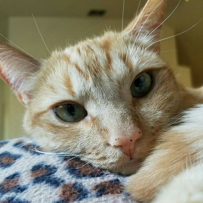 NWR: Fursday!