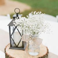 Tree Slab Centerpieces...SCORE!!