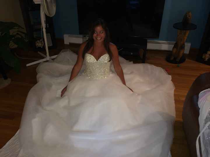 Gowns & Brides