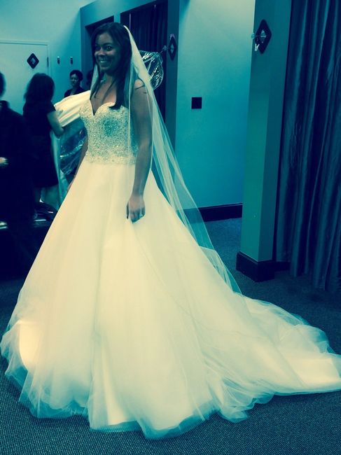 Big Ballroom dresses?