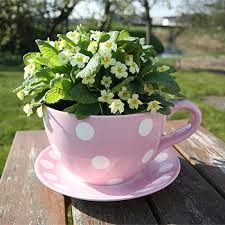 June Brides....
