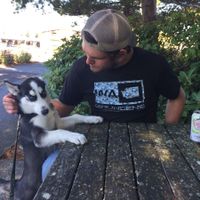 Furbabies?(non wedding post)