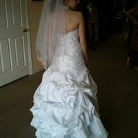 15 days and counting.... (pics!)