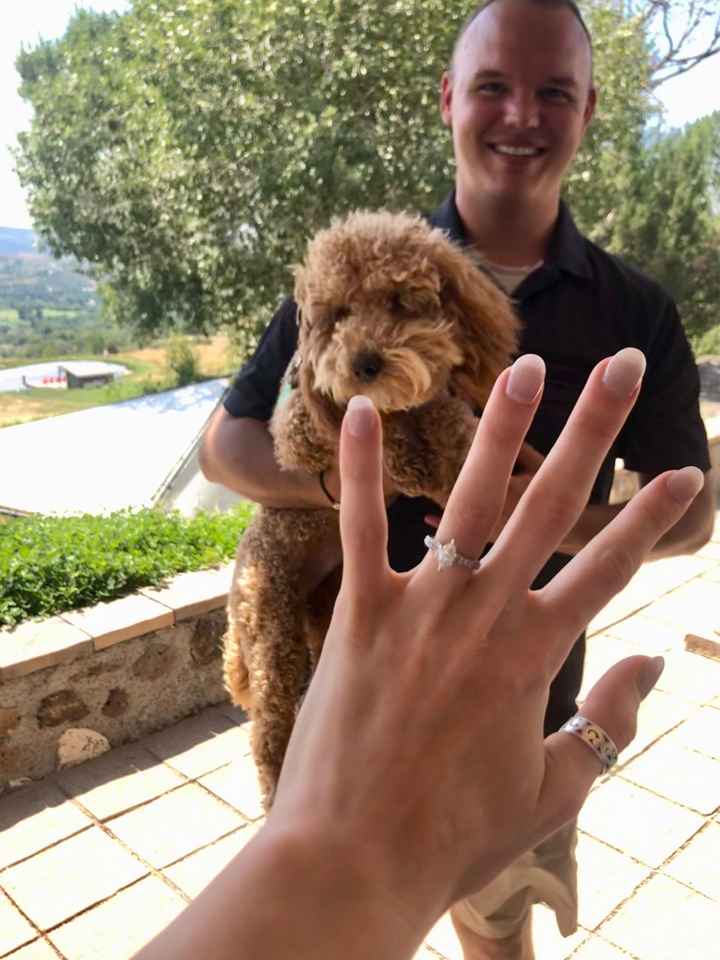 Engagement Ring Bliss - 3
