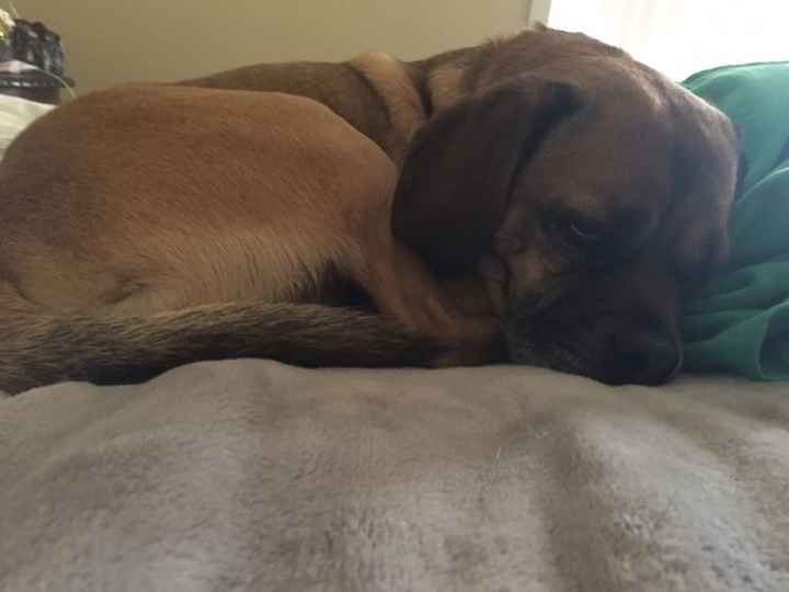 Let me introduce myself?