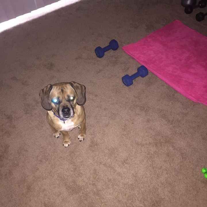 Let me introduce myself?