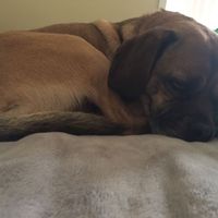 Let me introduce myself?