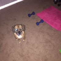 Let me introduce myself?