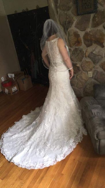 Veil / shoes and hair 4