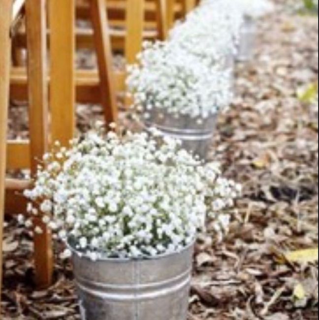 Rustic Bucket Hunt: Update-SUCCESS