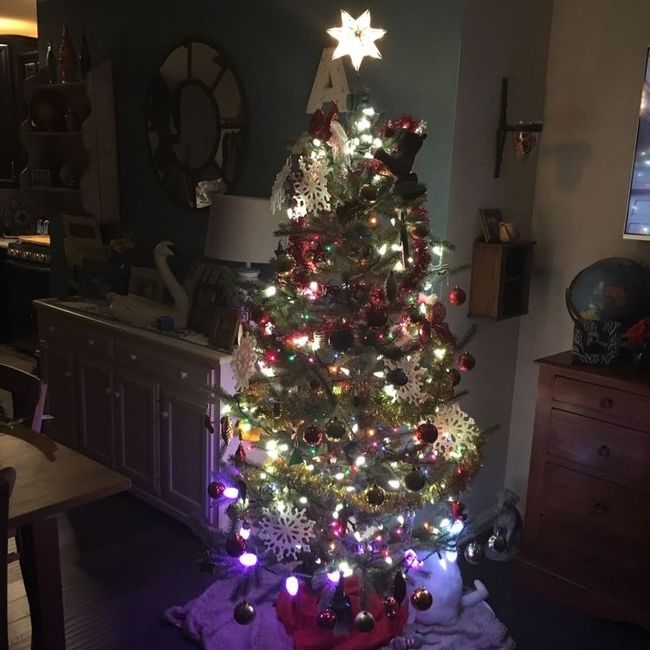 NWR: Christmas Tree