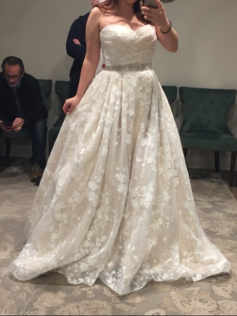 Dress Help! Please post your gowns!! 12