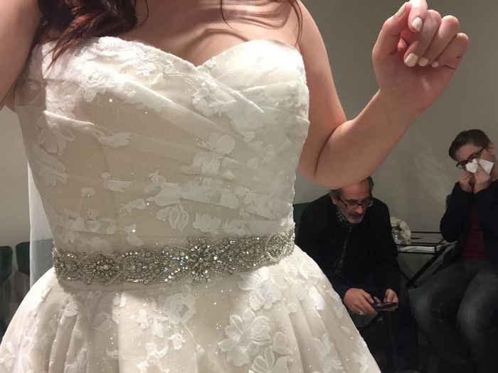 Dress Help! Please post your gowns!! 13