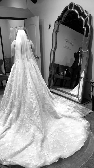 Let’s see those veils! 5