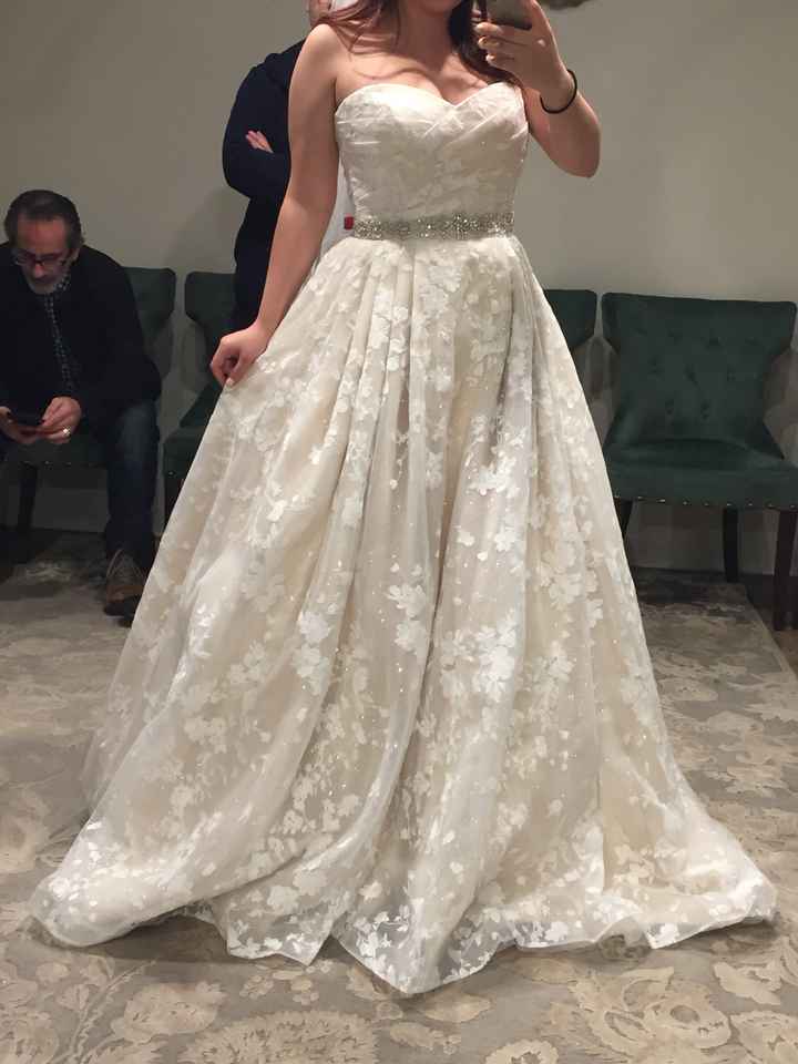 Dress Help! Please post your gowns!! - 1
