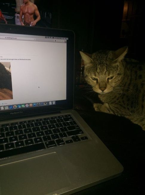 Whose helping you WW!?!