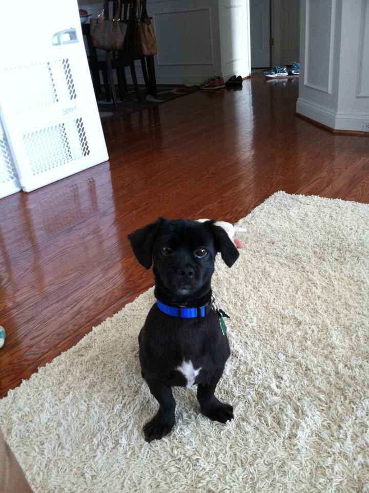 NWR Happy Fursday!!!