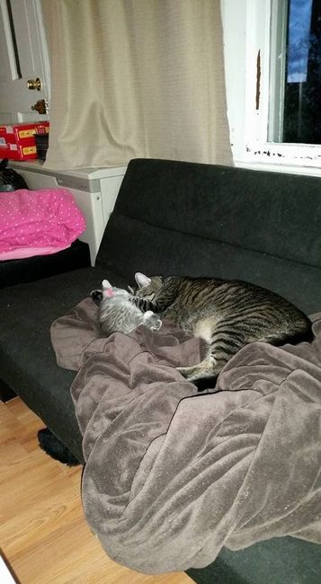 NWR: post pics of your pets!!