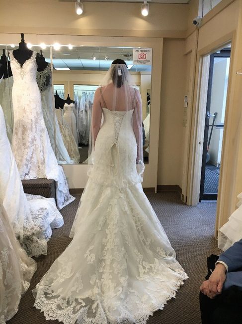 My wedding dress 3