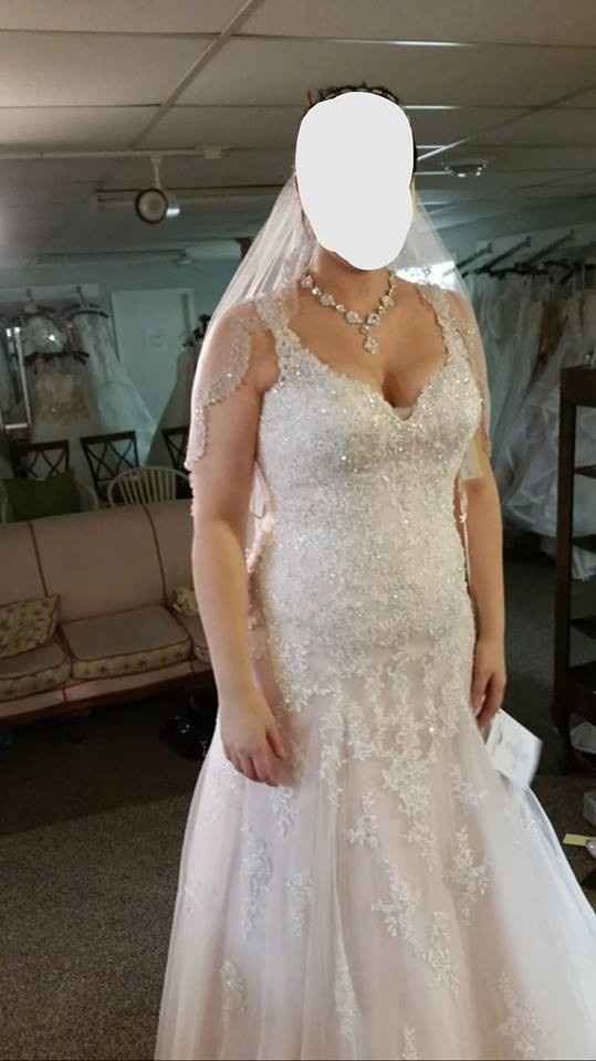 Veil all spread over shoulders
