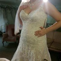 Veil and detail on embellishments and color