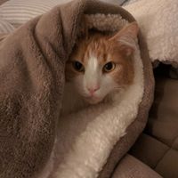 The line of 1000+ people