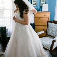 Plus Size Brides! Dress shopping experiences - 1