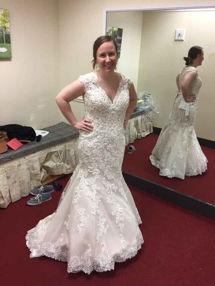 My Dress has Arrived! - 2