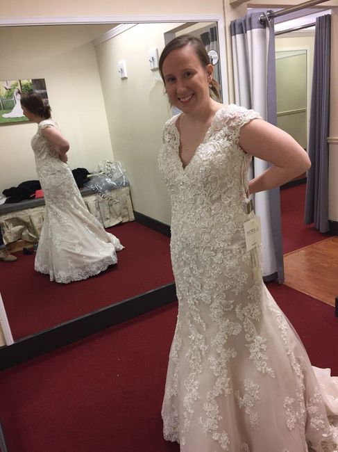 My Dress has Arrived! - 1