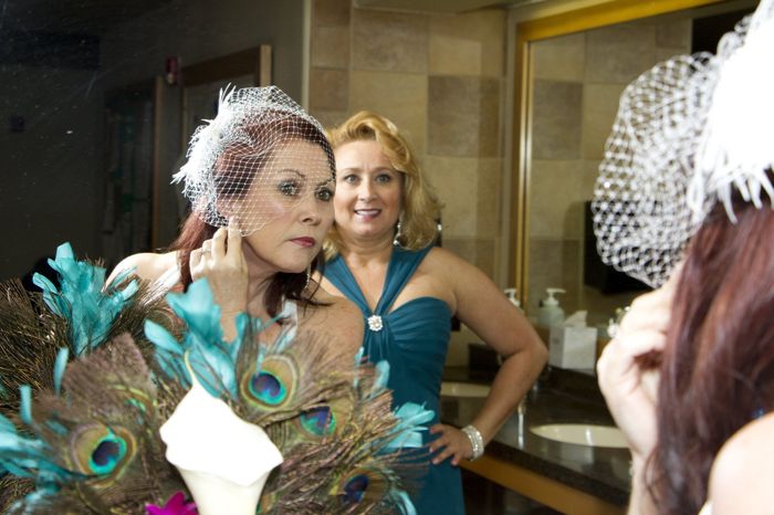 Where did you guys buy your birdcage veil? (If you're wearing one)
