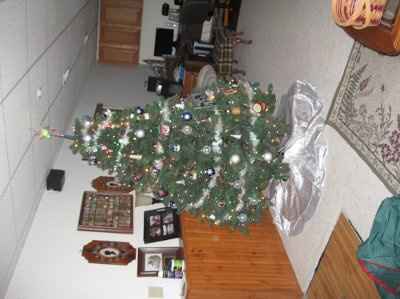 When are you and your fiancee putting up the Christmas tree?