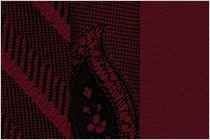 This is what the tuxes that the men are wearing and the colors