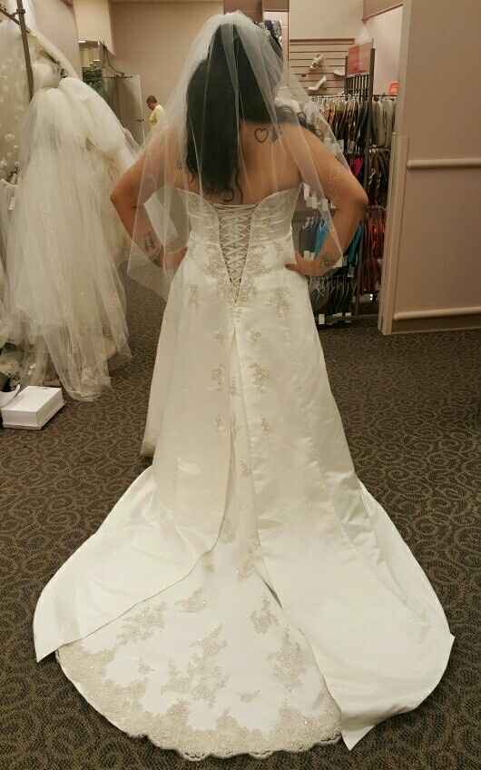 Let me see your DRESS!